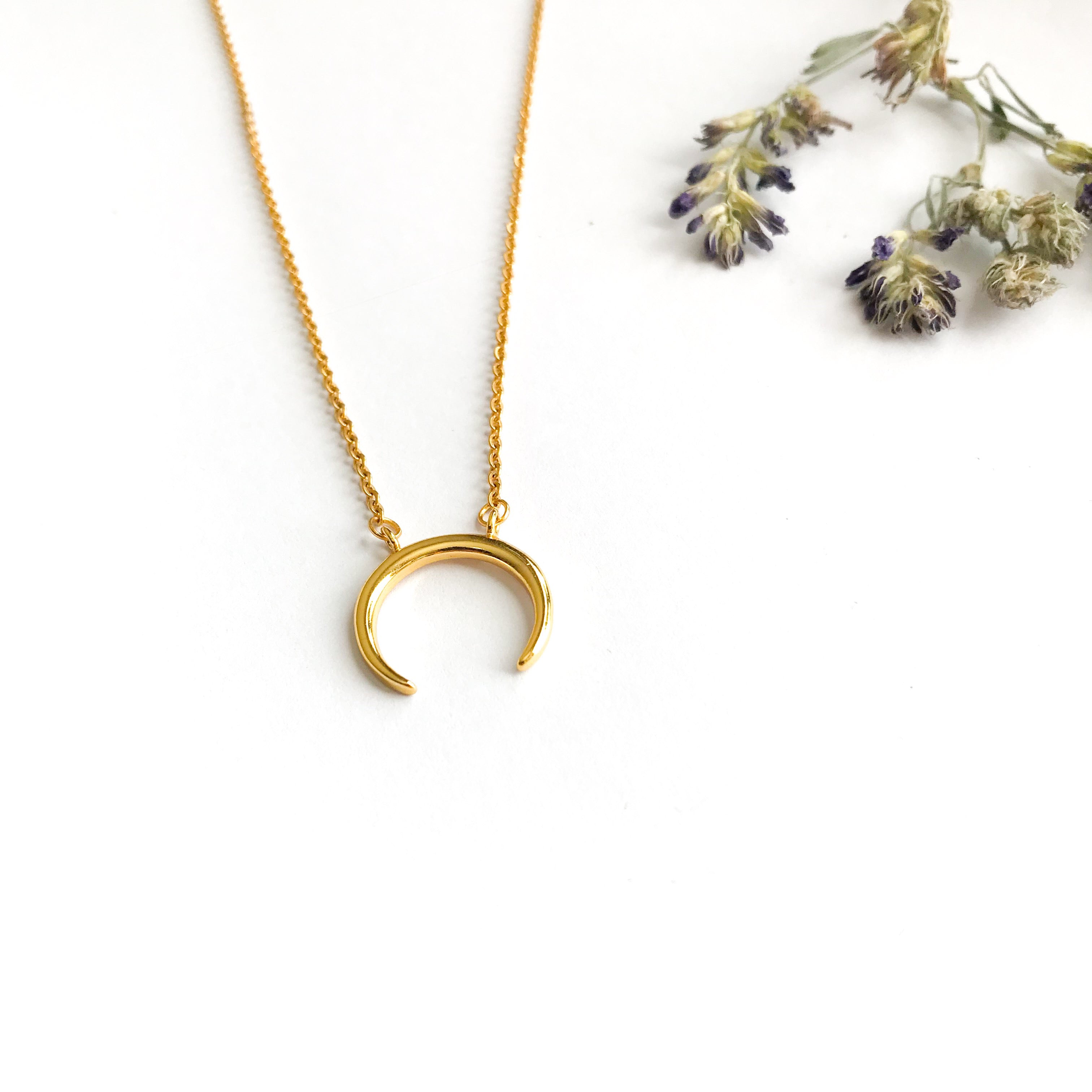 Crescent Horn Victoria Necklace